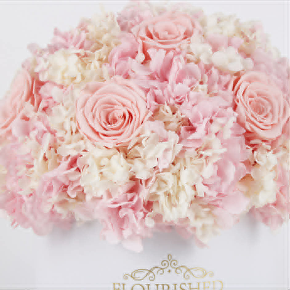Signature Bloom
